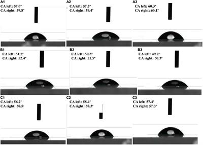 FE-SEM/EDX Based Zinc Mobilization Analysis of Burkholderia cepacia and Pantoea rodasii and Their Functional Annotation in Crop Productivity, Soil Quality, and Zinc Biofortification of Paddy